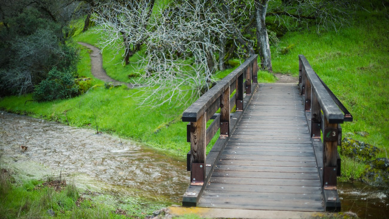 Wooden bridge crossing over a creek to a dirt trail winding around a green hillside