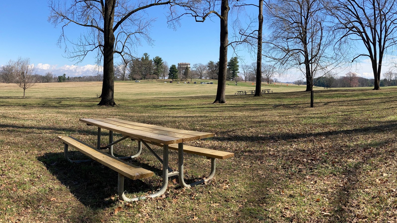 a wooden picnic table surrounded by tall trees. large arch monument on horizon