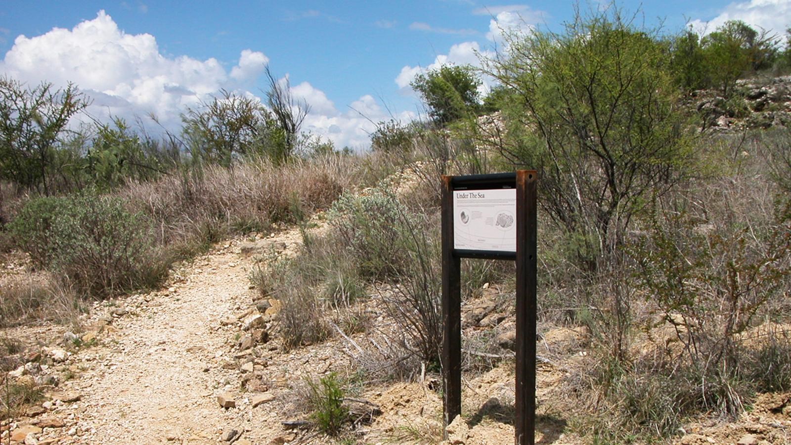Packed but uneven dirt trail gradually rising as it arcs right past trail sign.