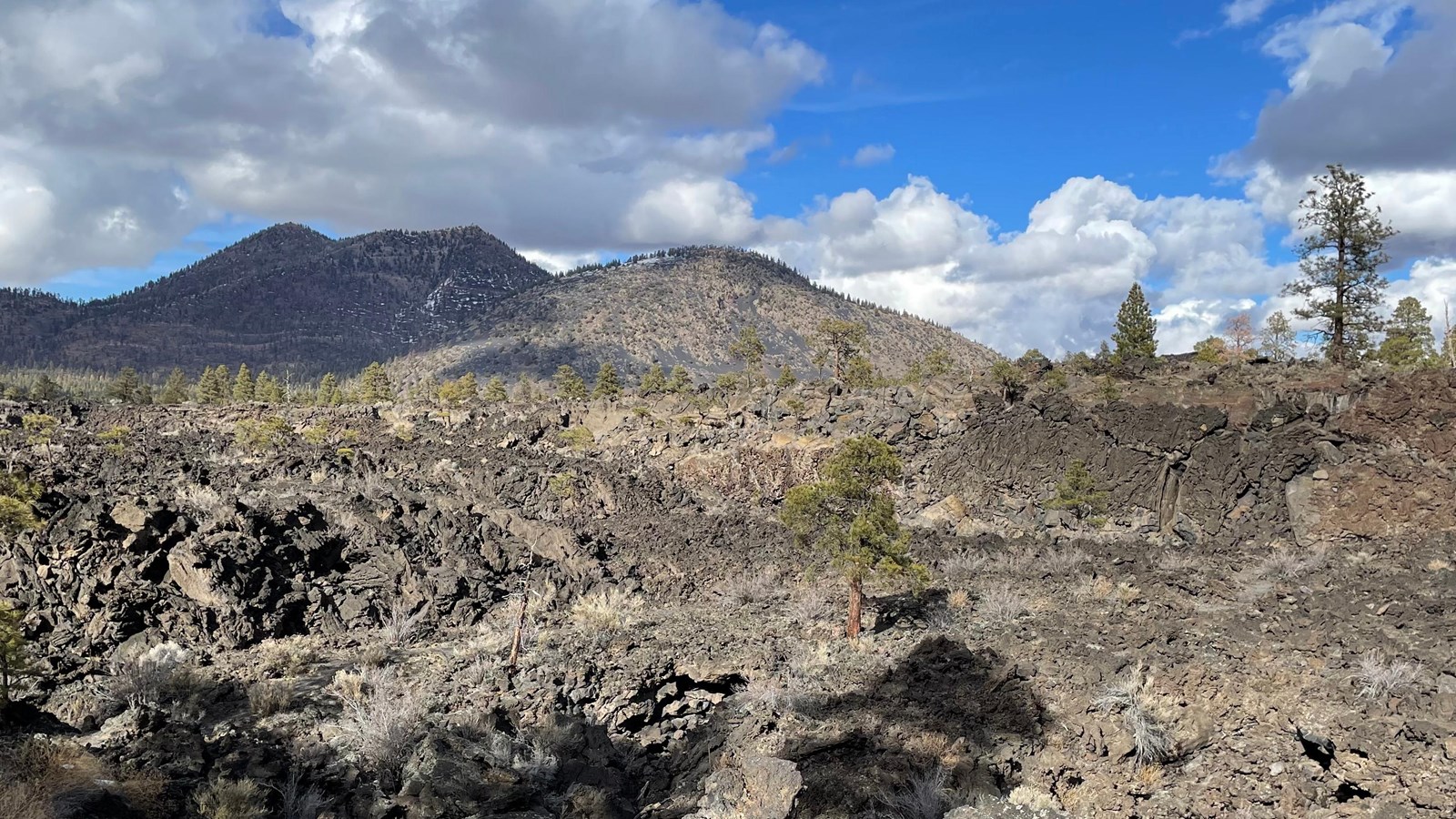 An extinct lava flow of jagged black basalt rocks with a mountain in the background.
