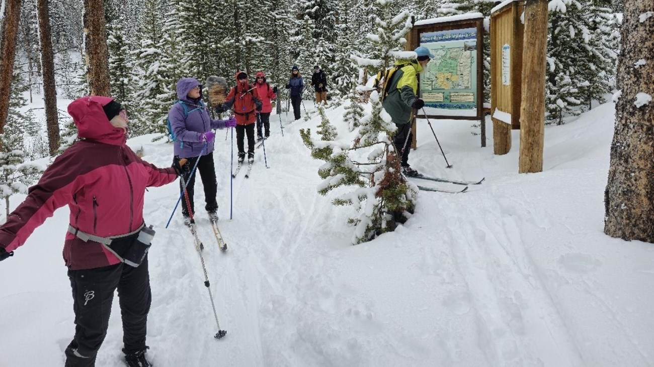 A group of seven people are cross-country skiing on a well-used trail.