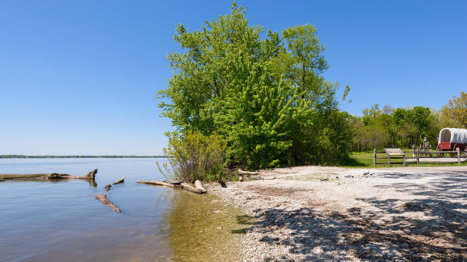 Green vegetation on the sandy banks of a still river. 