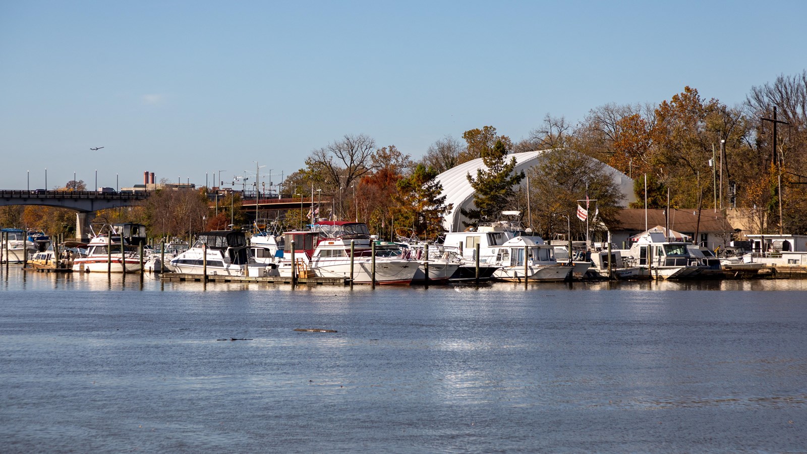 Multiple, white yachts are parked at a dock. Blue, calm water is in the foreground.