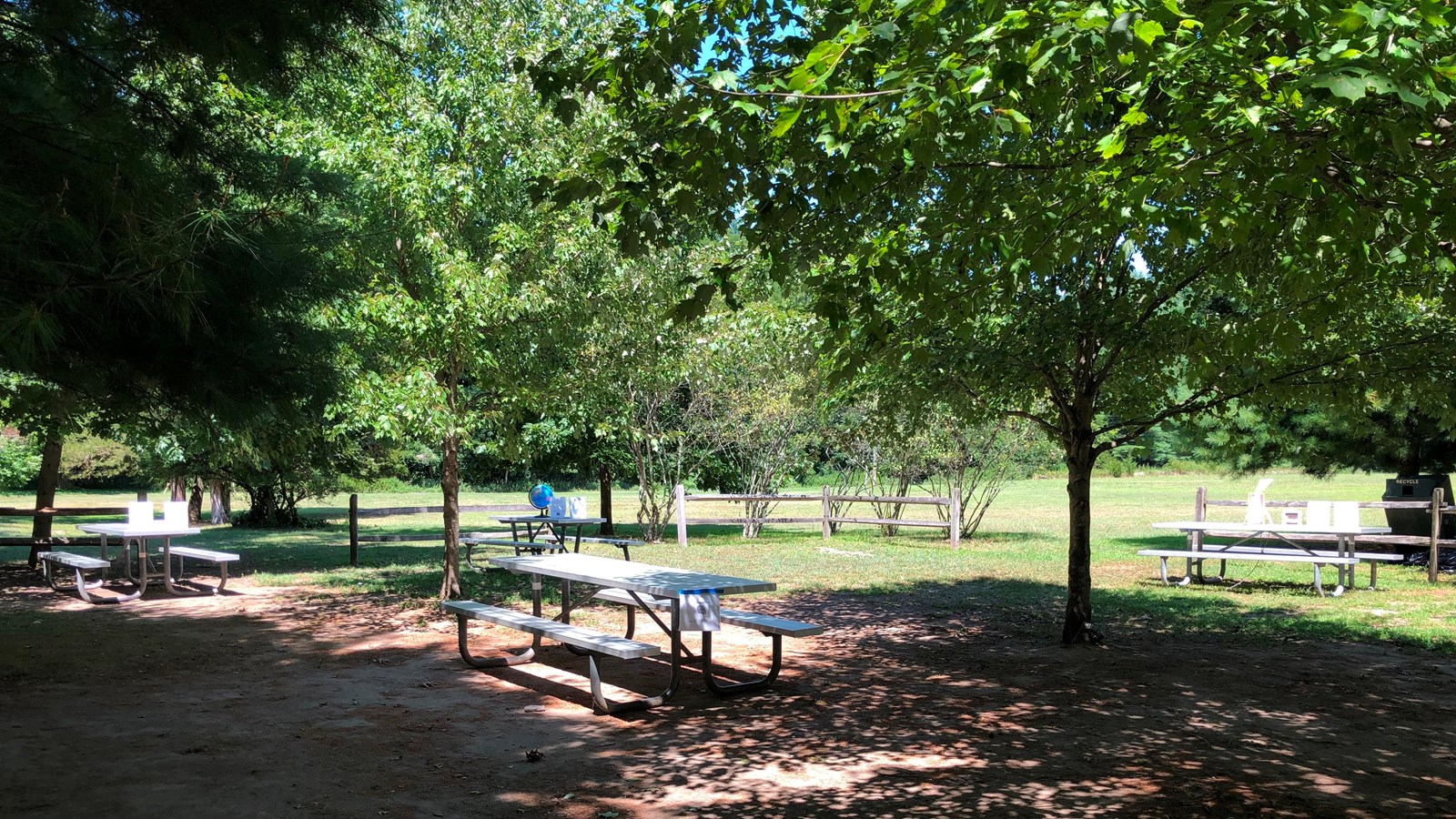 Picnic tables in a shaded area with trees.