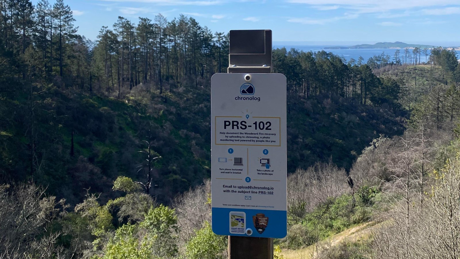 A wooden post with small white and blue sign against a forested and grassy hillside. 