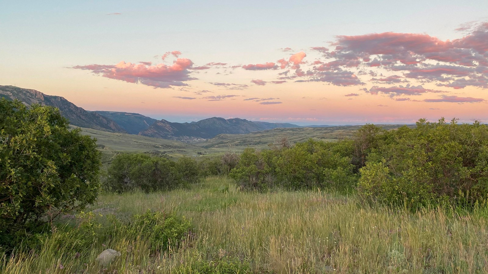 A grassy meadow opens up to an expansive view of distant mountains under a pink, sunset sky.