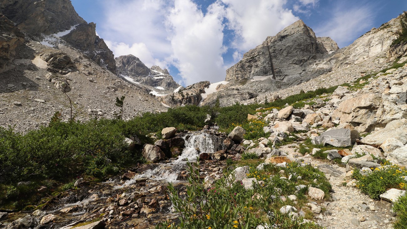 A creek runs through an alpine meadow blooming with wildflowers in front of two mountain peaks.