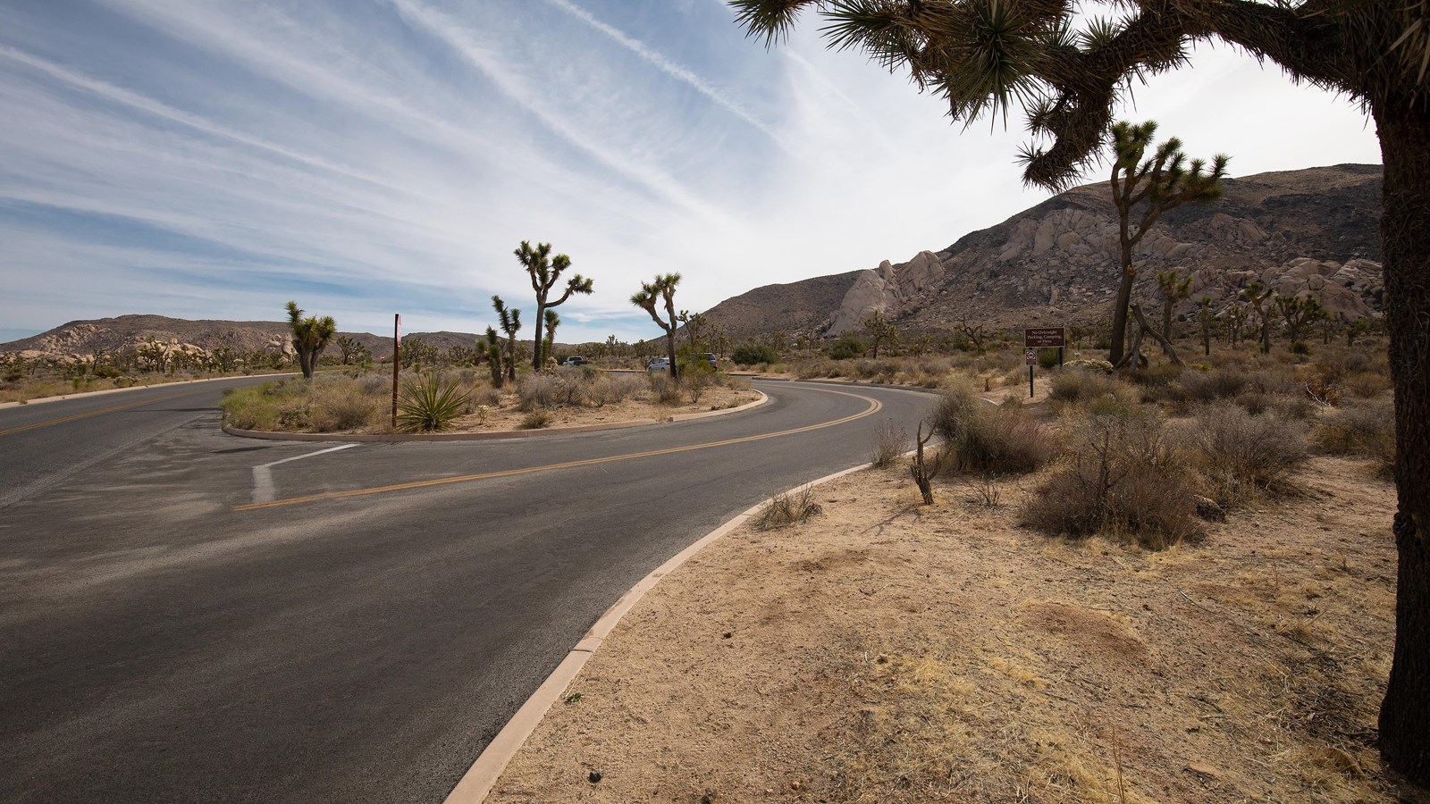 A paved parking lot entrance surrounded by Joshua trees and shrubs with mountains in the distance.