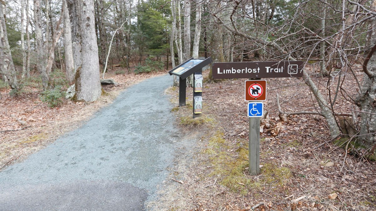 A gravel trail leads into the forest, past several educational signs 