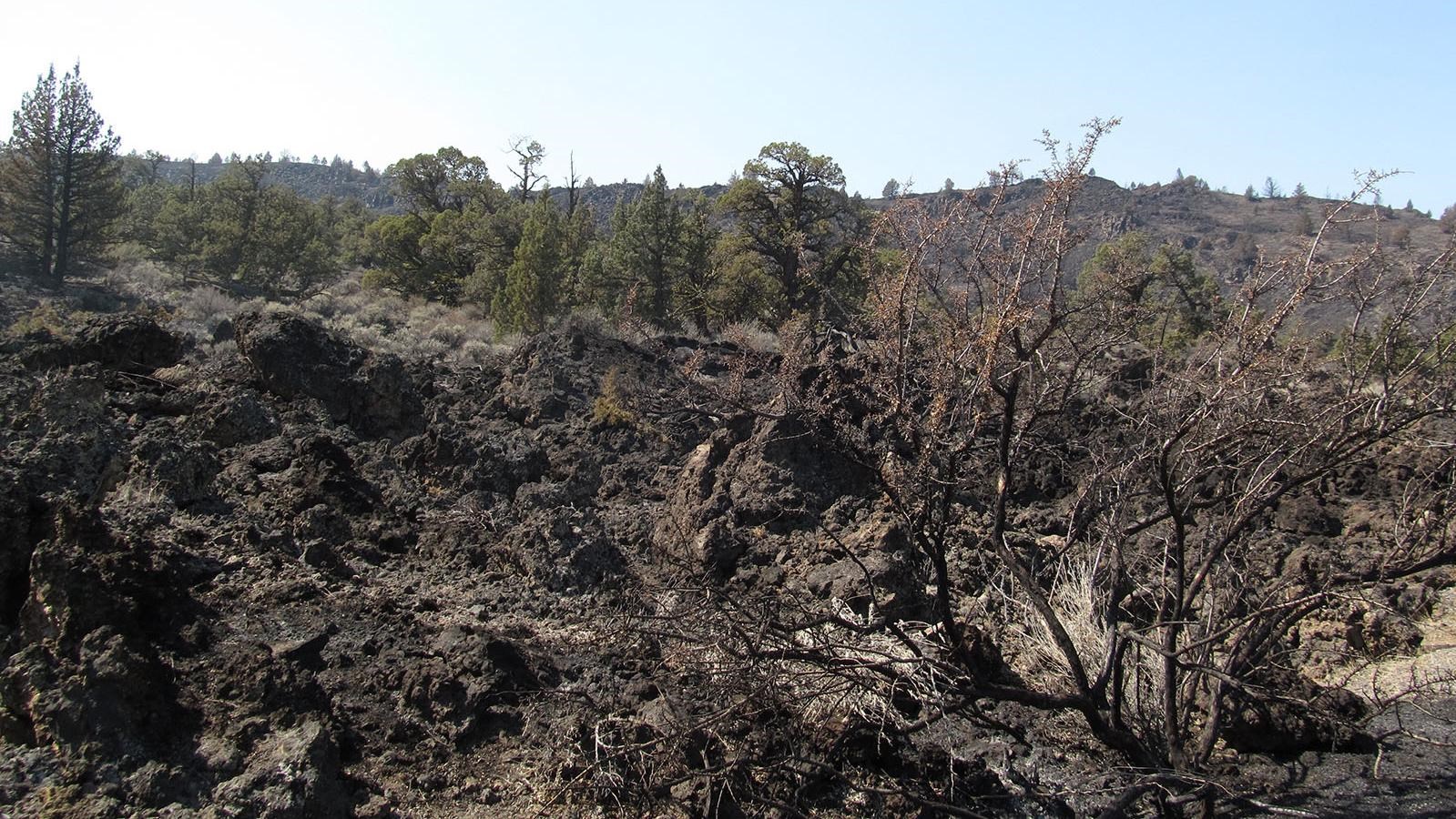 Devils Homestead Crossing