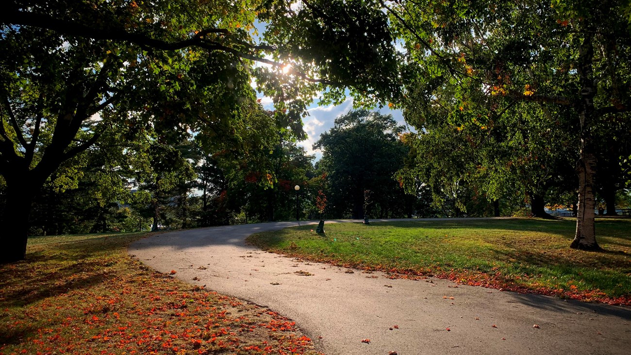 A walking path underneath trees in the fall. 