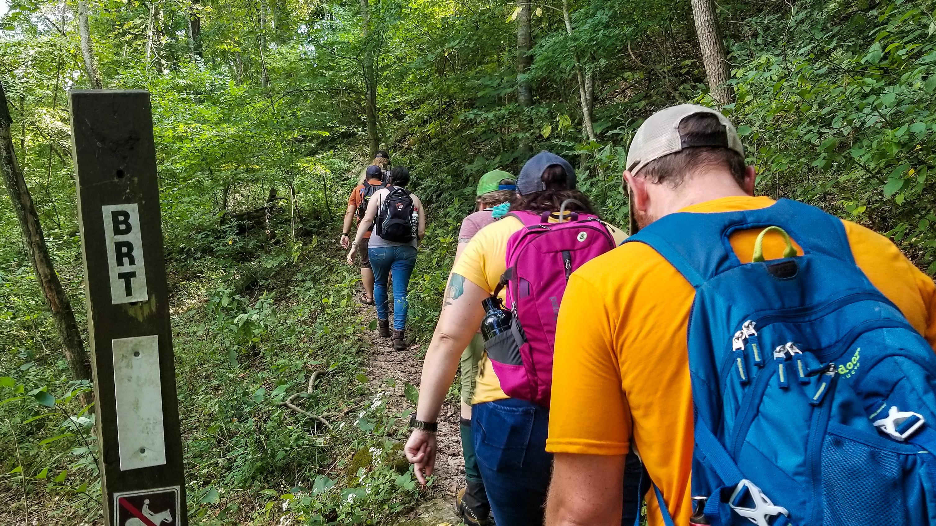 Hike The Buffalo River Trail - Boxley To Pruitt (U.S. National Park ...