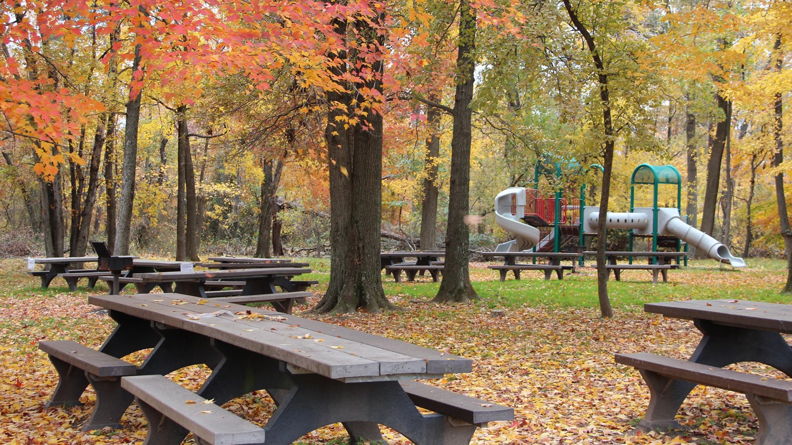 picnic tables in the foreground and playground equipment featuring fall colors 