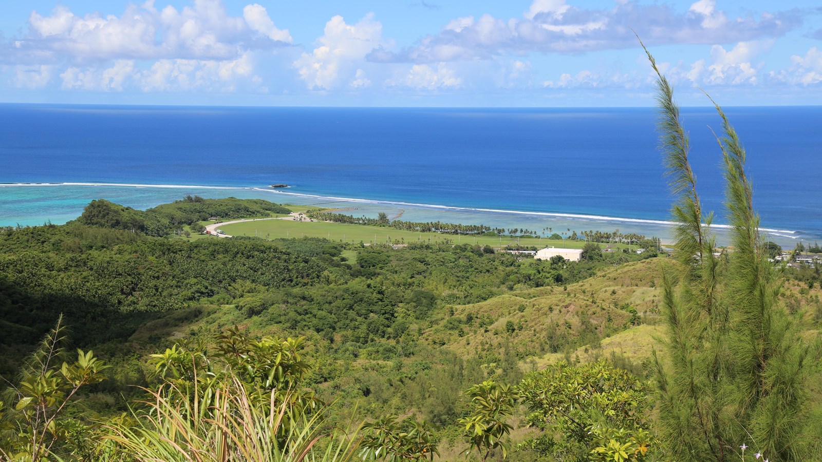 View down a green hill towards the ocean