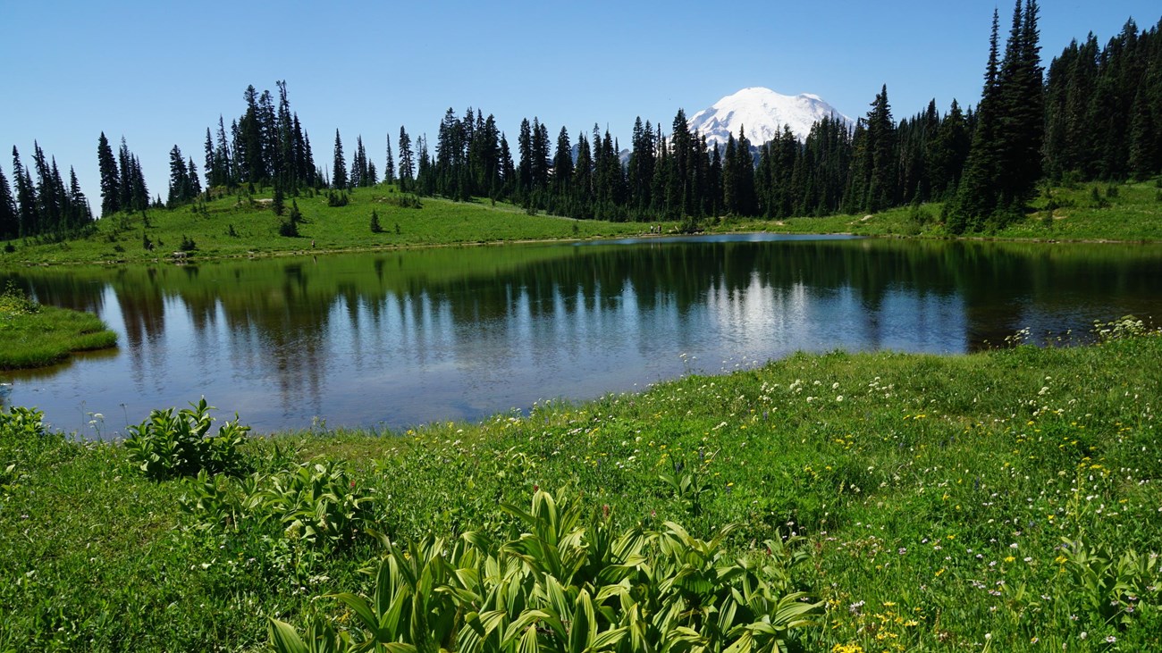 Reflection Lake (U.S. National Park Service)