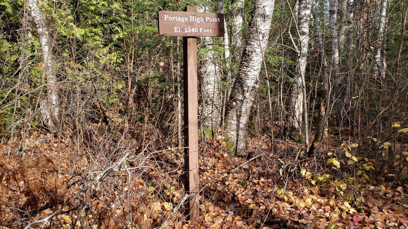 A wooden sign set off the trail in front of the forest that reads: Portage High Point. El. 1340 Feet