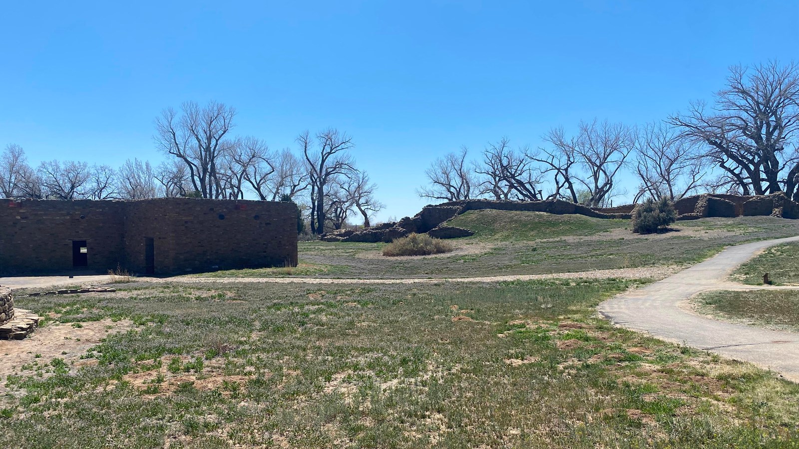 An open grass plaza showing a trail to the north and the Great Kiva to the south under a blue sky.