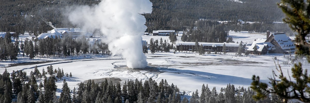 A geyser in the middle of a snowy field erupts steam and water high into the air.