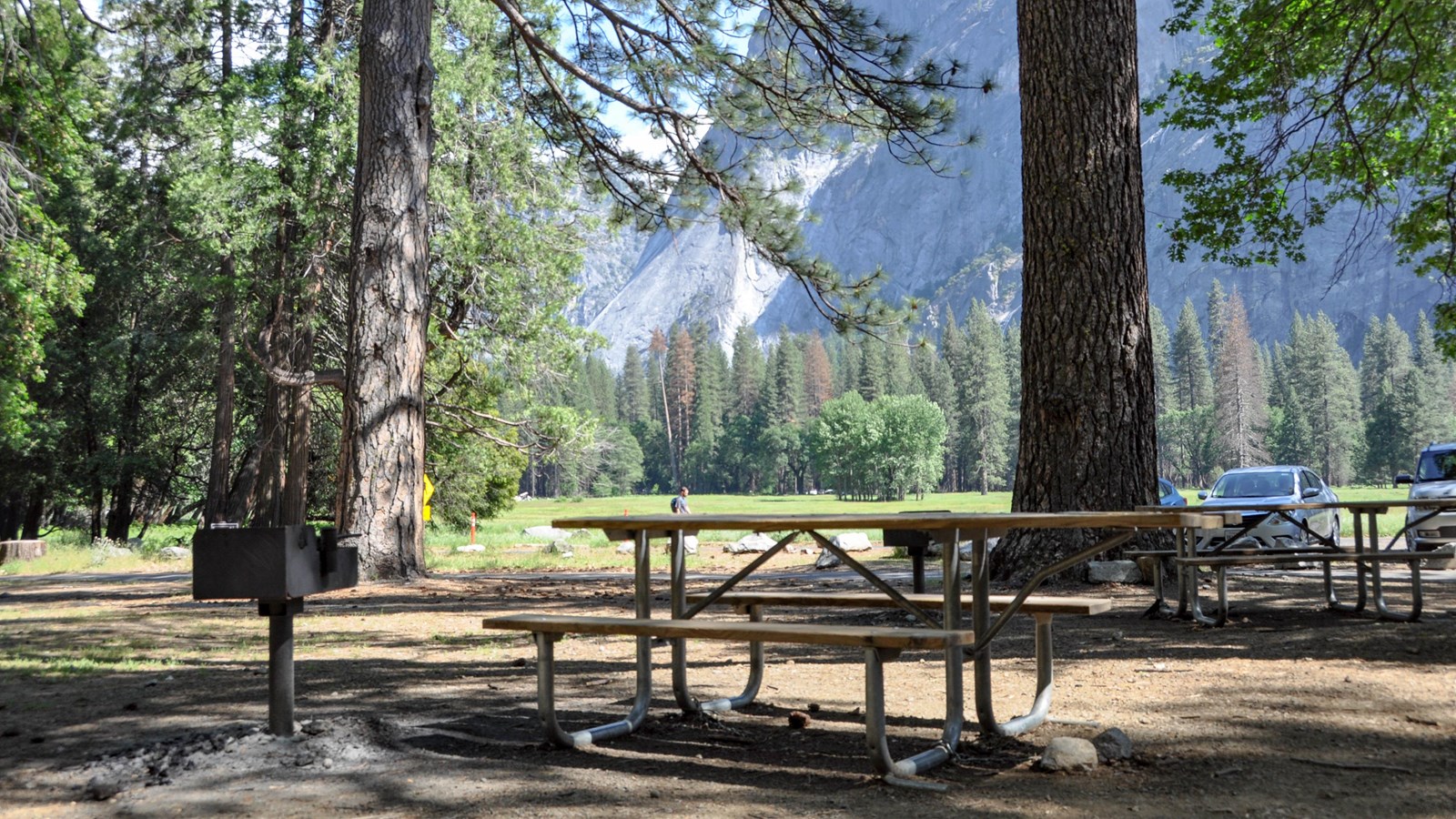 Picnic tabls and trees with cars in background