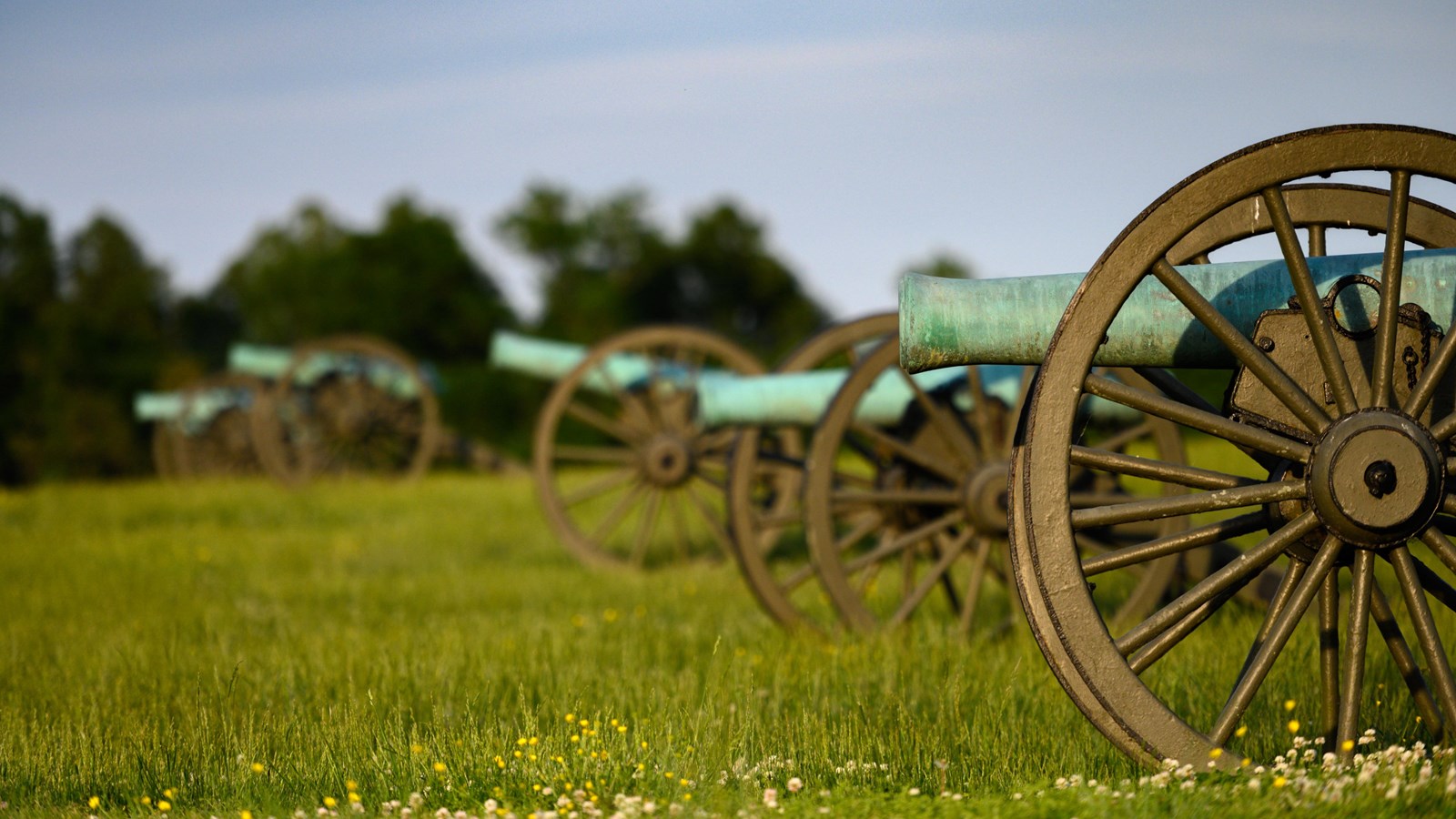A line of bronze cannons, each with a green patina, lined u[ in a grassy field.