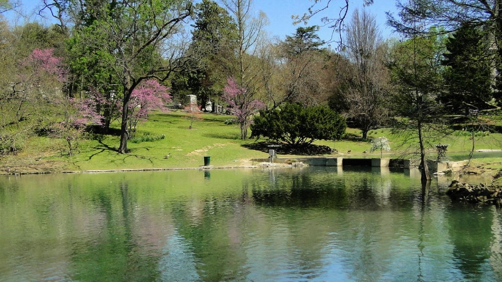 Across a lake lined with flowering trees, rolling hills dotted with gravestones can be seen