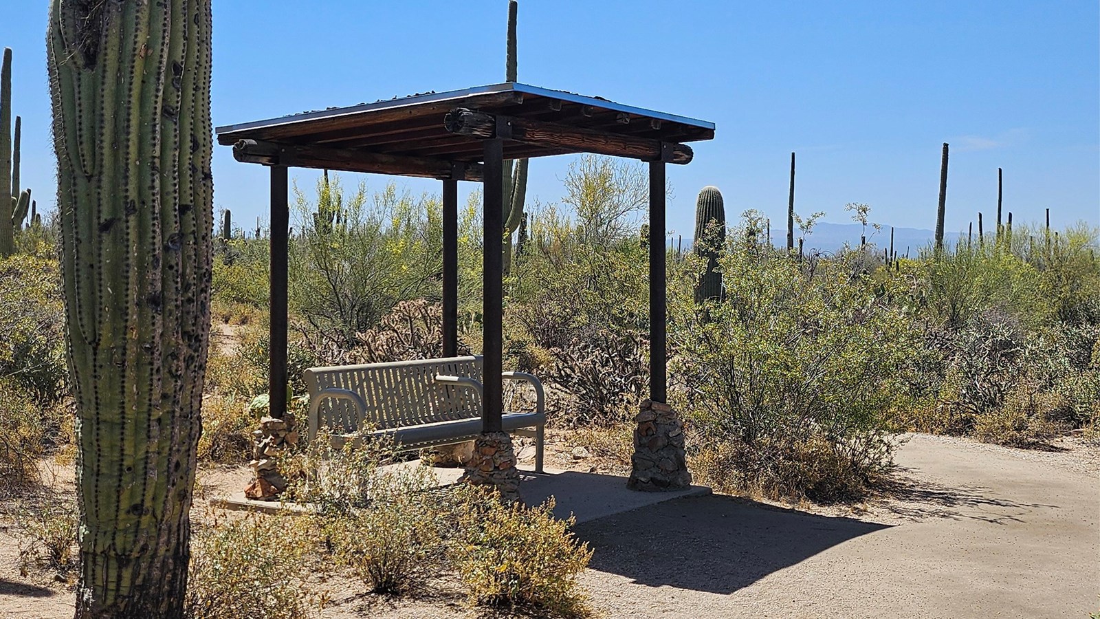 Paved walking trail veers off to the right. Left of the trail is a large saguaro and a ramada