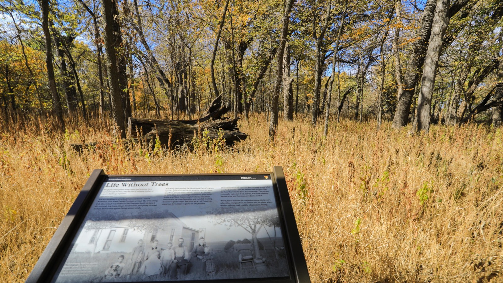 An informational sign stands in front of a backlit fall forest.