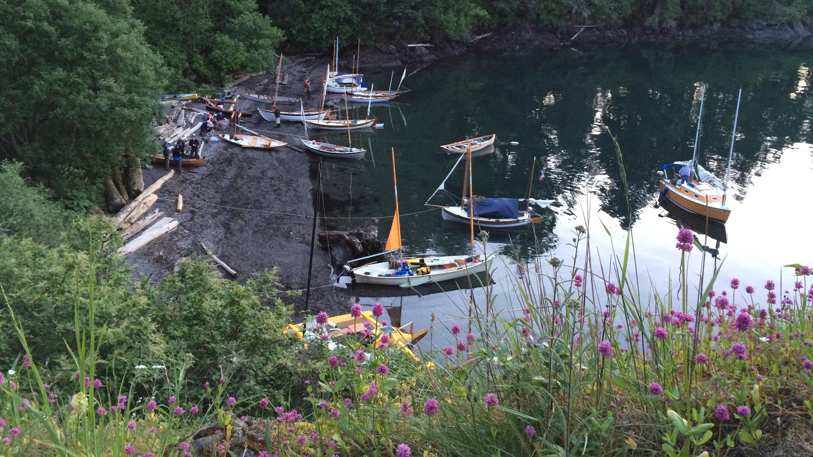 A group of boats gathered in a rocky cove