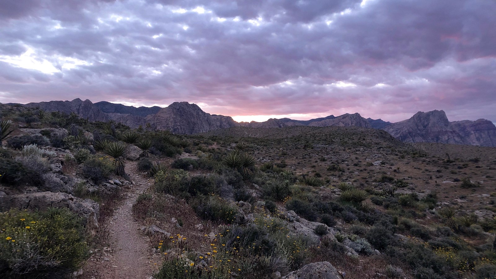A trail leads through a desert under a cloudy, sunset-lit sky.