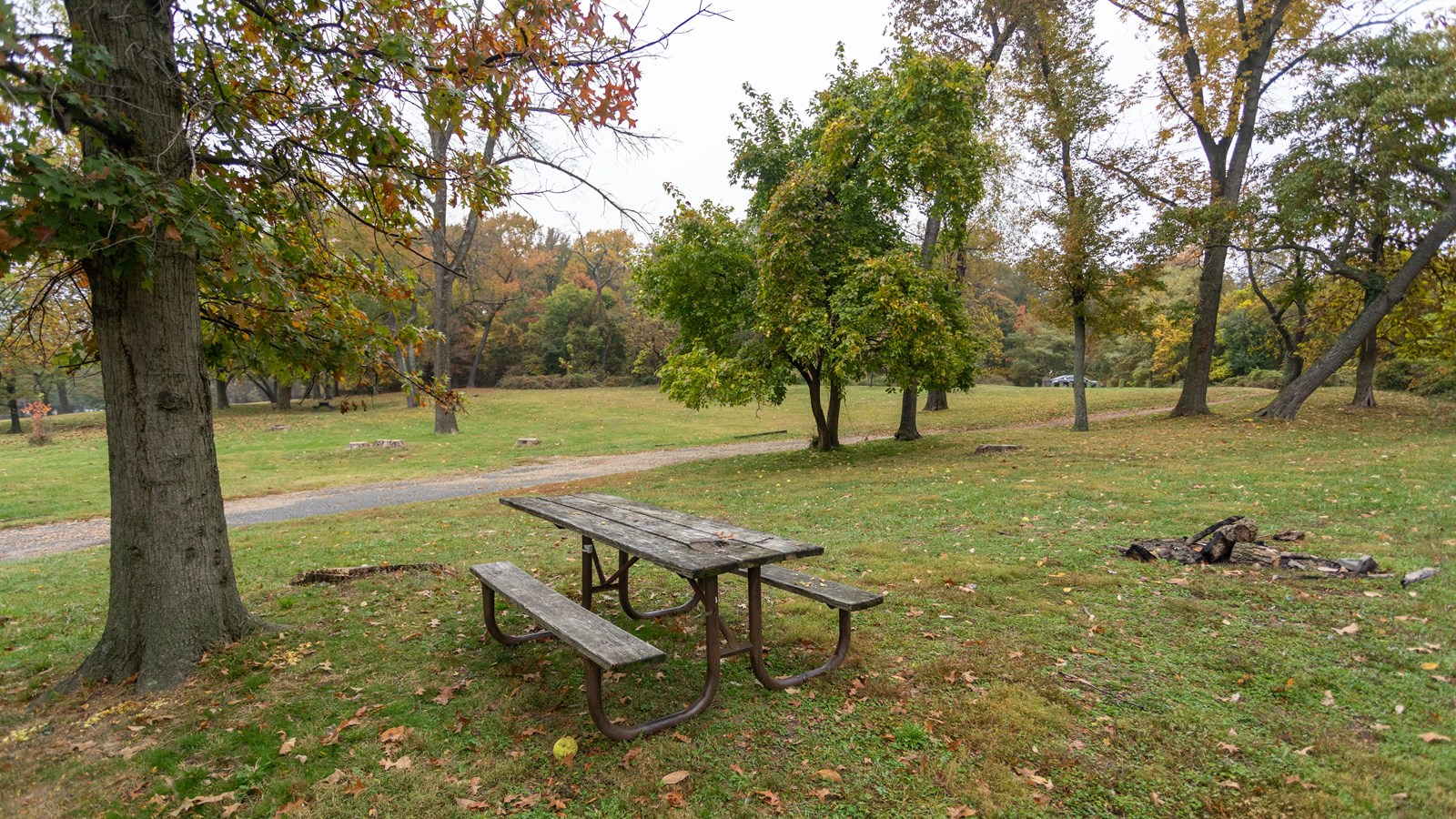 A picnic bench in a wooded grassy area