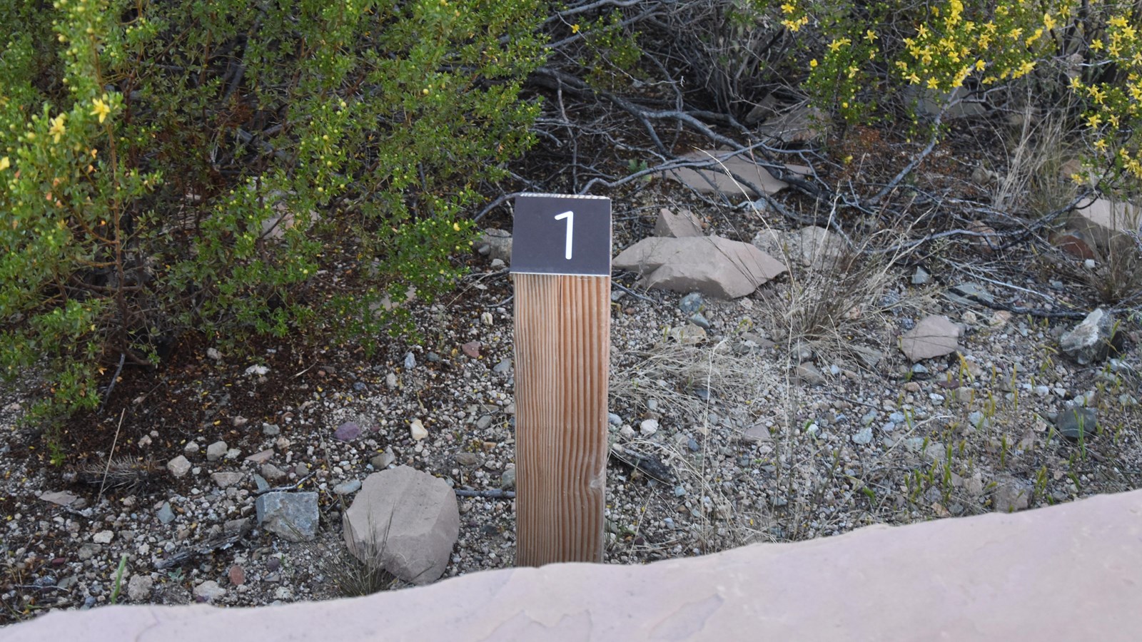 A wooden post in the ground with a number 1 next to a paved trail
