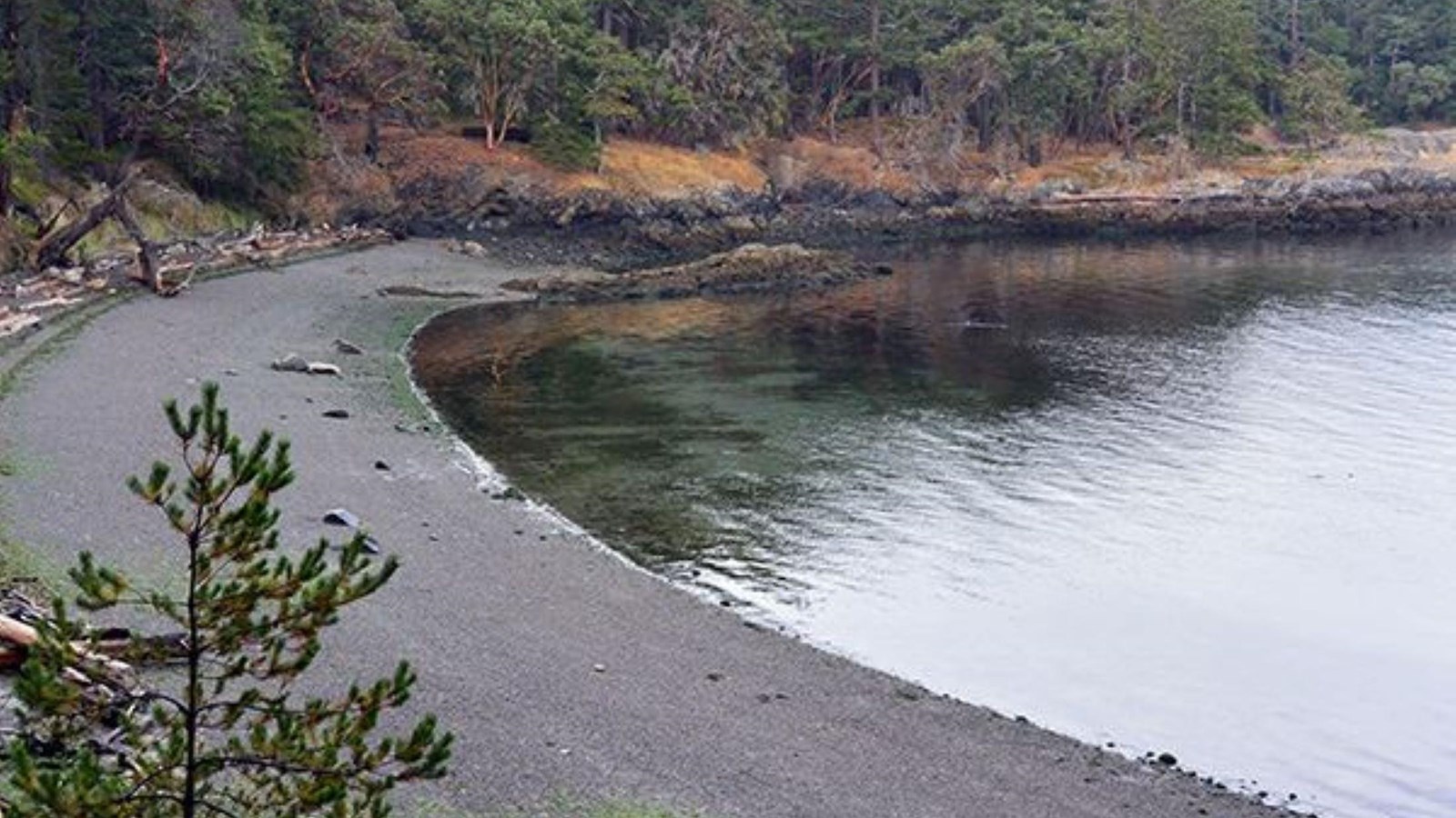 A rocky beach by the water