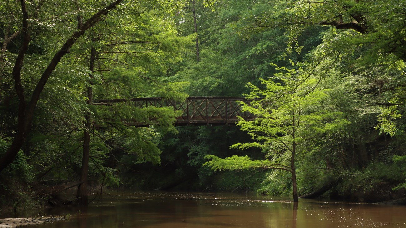 An iron bridge spans a calm murky creek with dense forest along its banks.