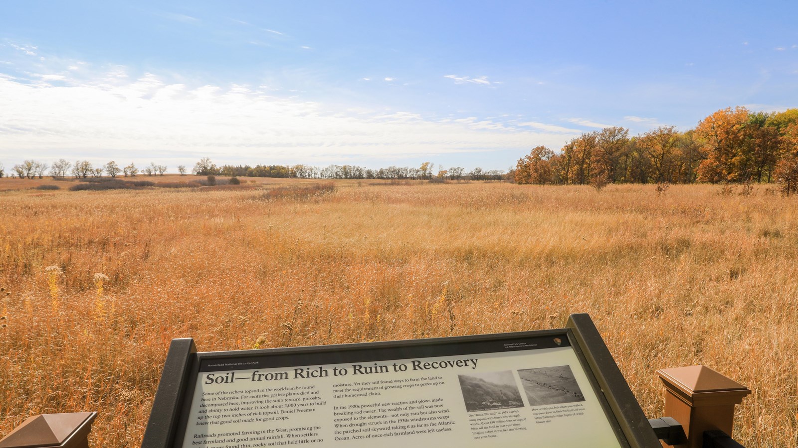 Prairie grasses backed by a hedgerow and forest with a informational sign in front.