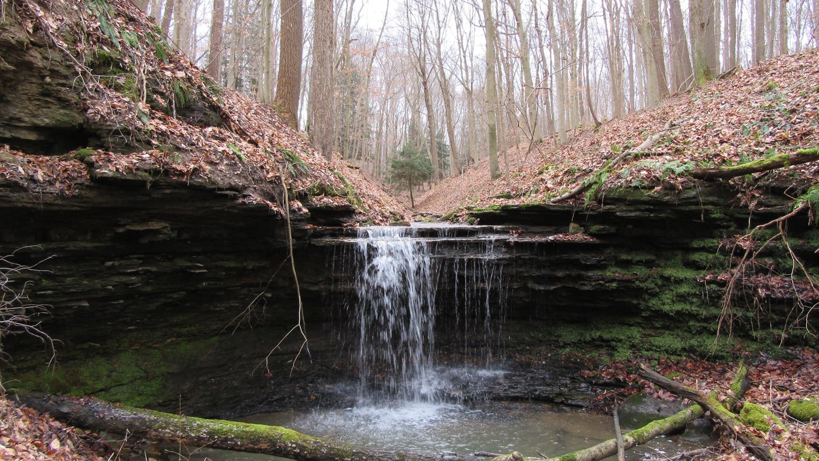 Small waterfall cascading into a pool
