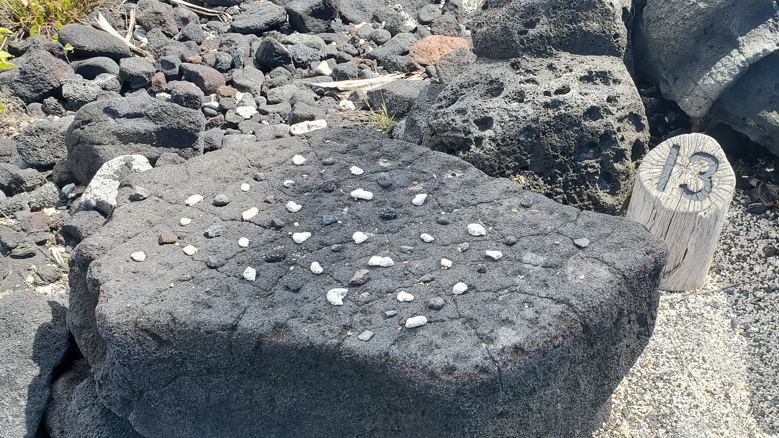 A lava rock with flat surface and 9 rows of 11 carved depressions weathered with time.