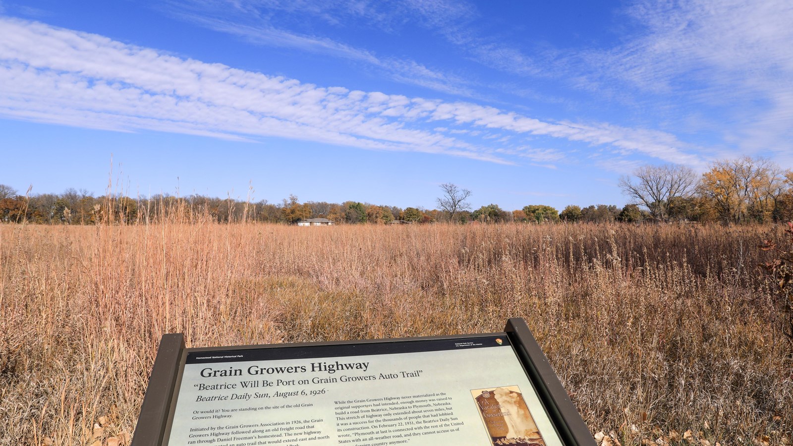 Prairie grasses backed by a trees and blue sky with an informational sign in front.