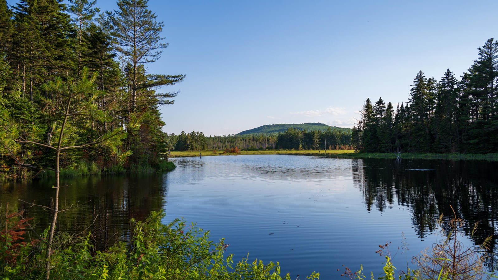 A wetland area with a large pond and mixed forest on both sides with a mountain in the distance. 