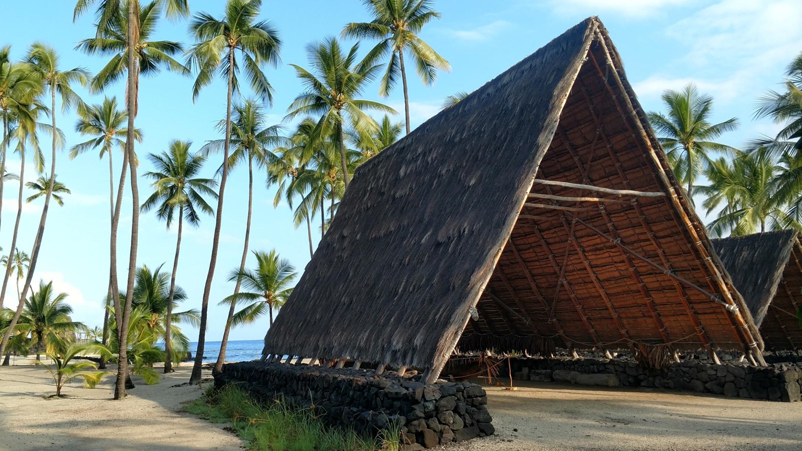 A large a-frame structure with coconut trees in the background.