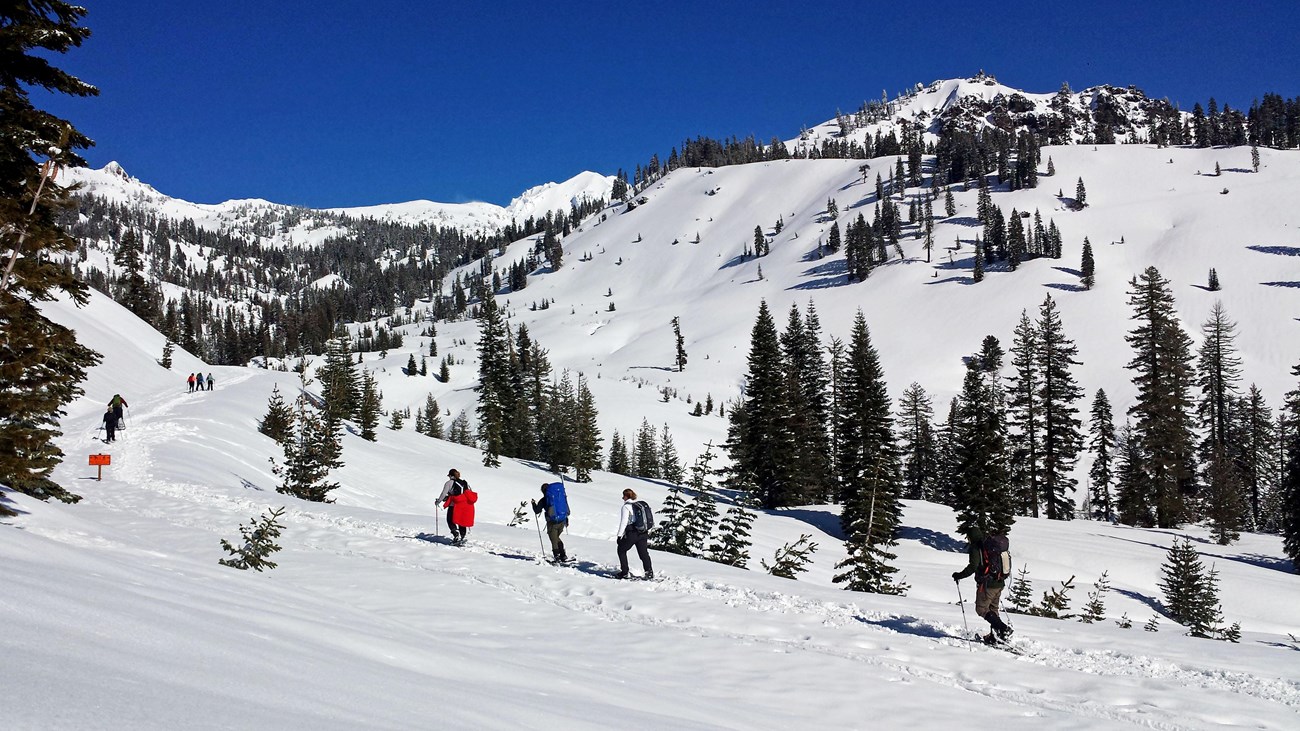 three people snowshoeing on a wide snow-covered route in a wooded mountain area