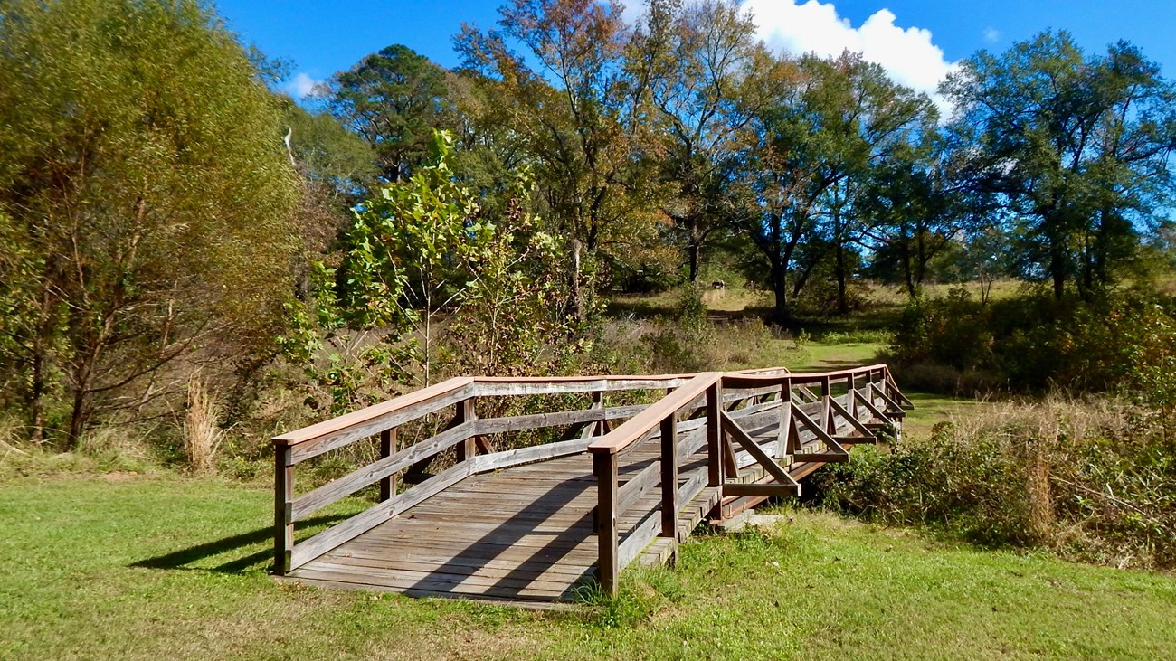 A grassy trail leading to a wooden bridge over a small creek.