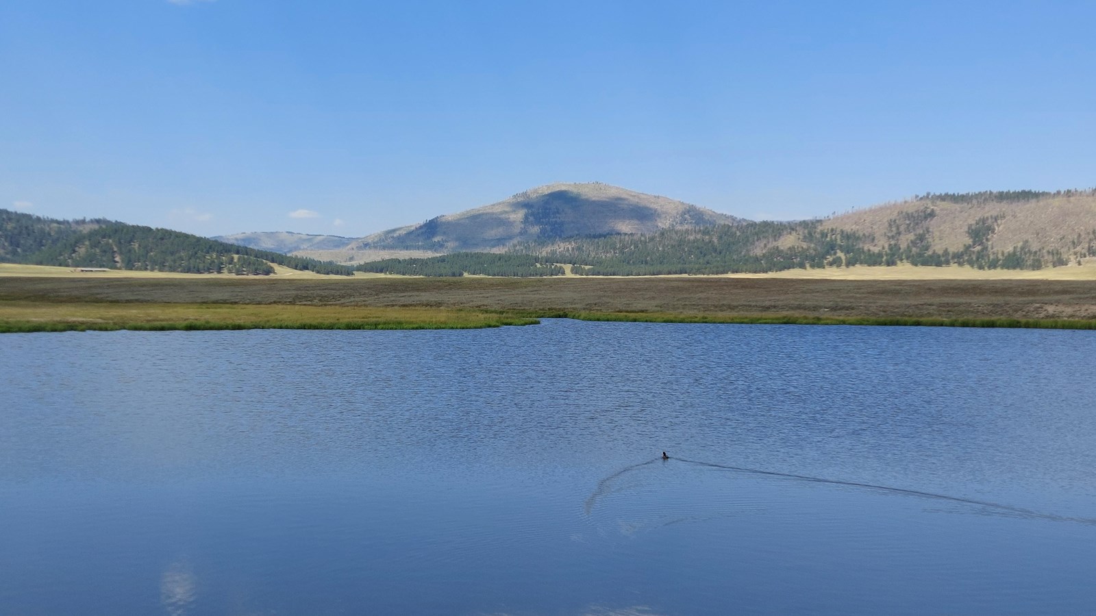 A large pond in the center of grassy valley.