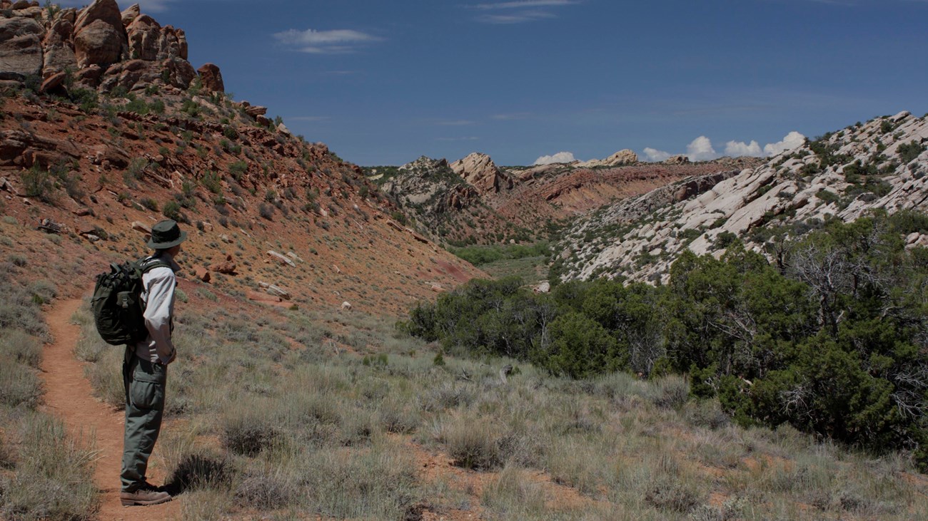 A tall man with a green backpack looks out at a valley of red colored rocks