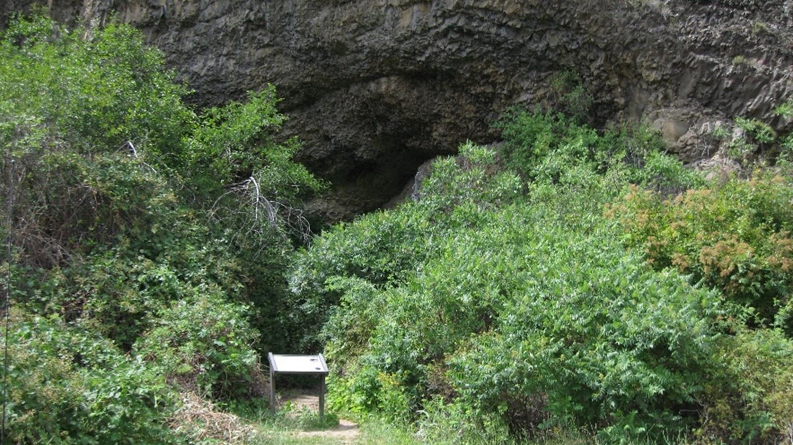Basalt rock outcrop surrounded by green shrubs.