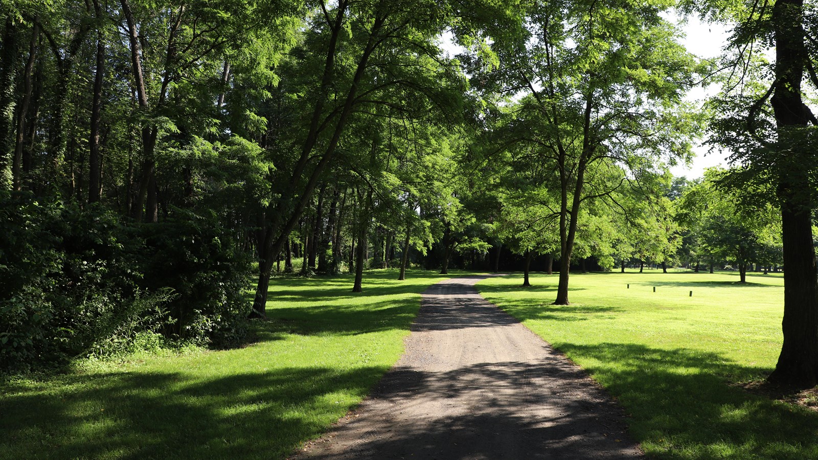 Looking down the Carriage Path from the Old Post Road