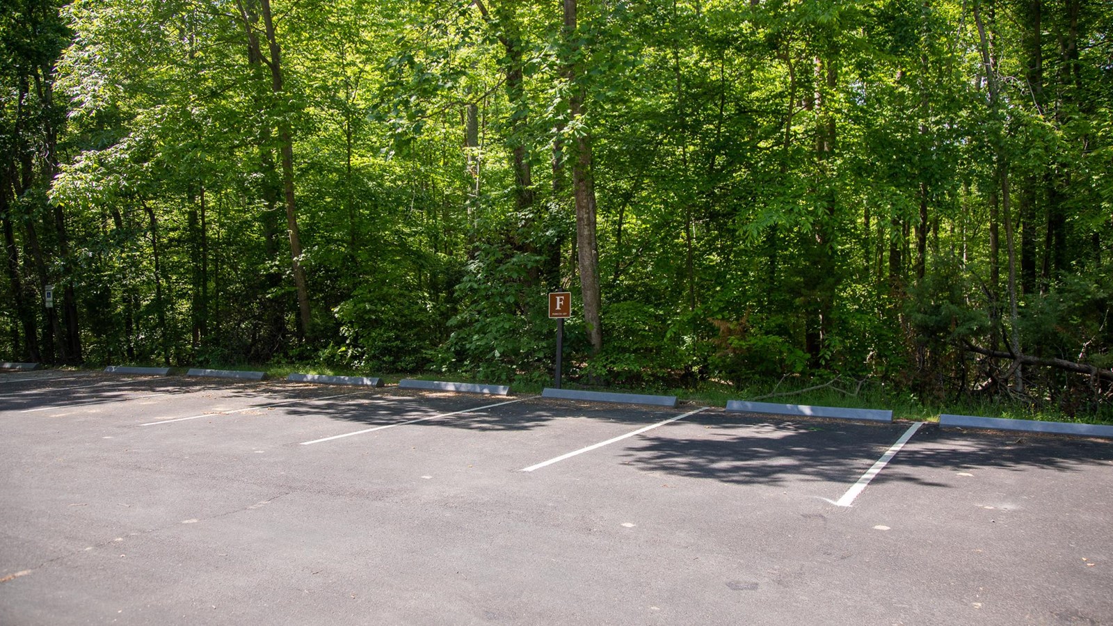 A brown sign with the letter F stands in front of a paved parking lot in the woods