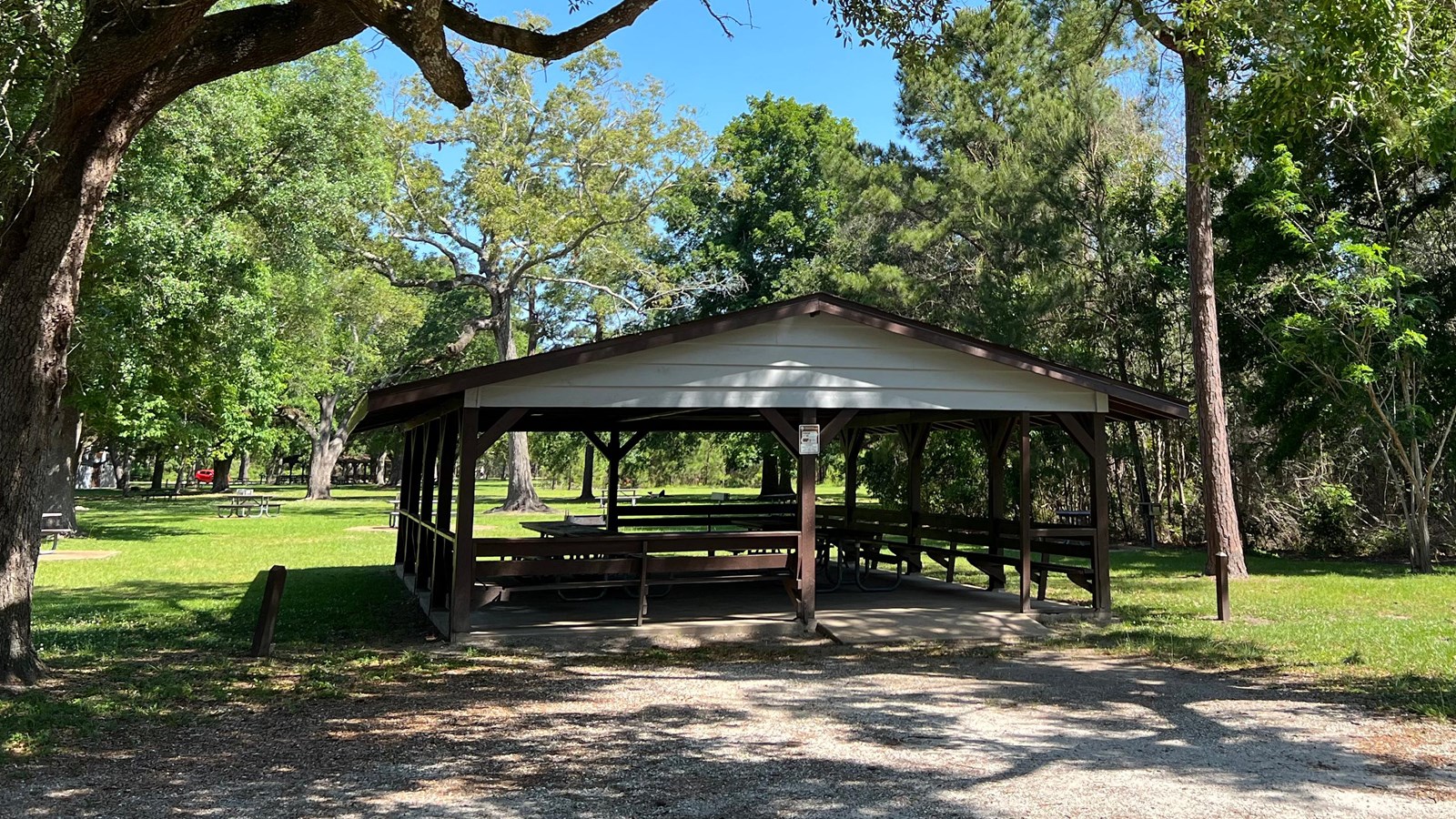 One building with trees