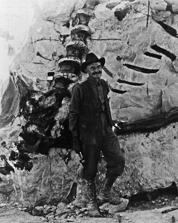 Black and white historic image of man standing in front of large vertebra sticking out of rock