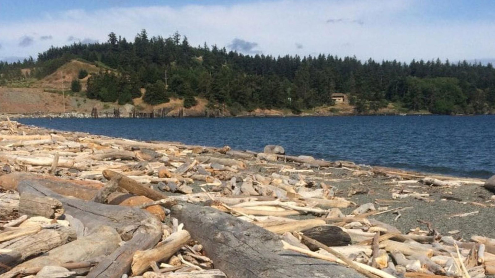 Color photograph of a driftwood covered beach with water nearby