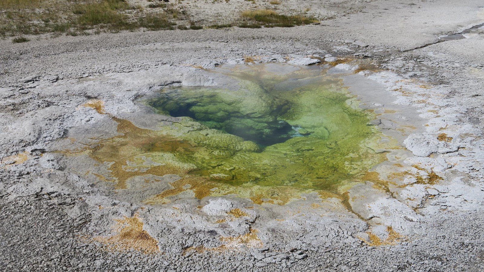 A small hot spring with green and orange bacterial mats sits in a hydrothermal basin.